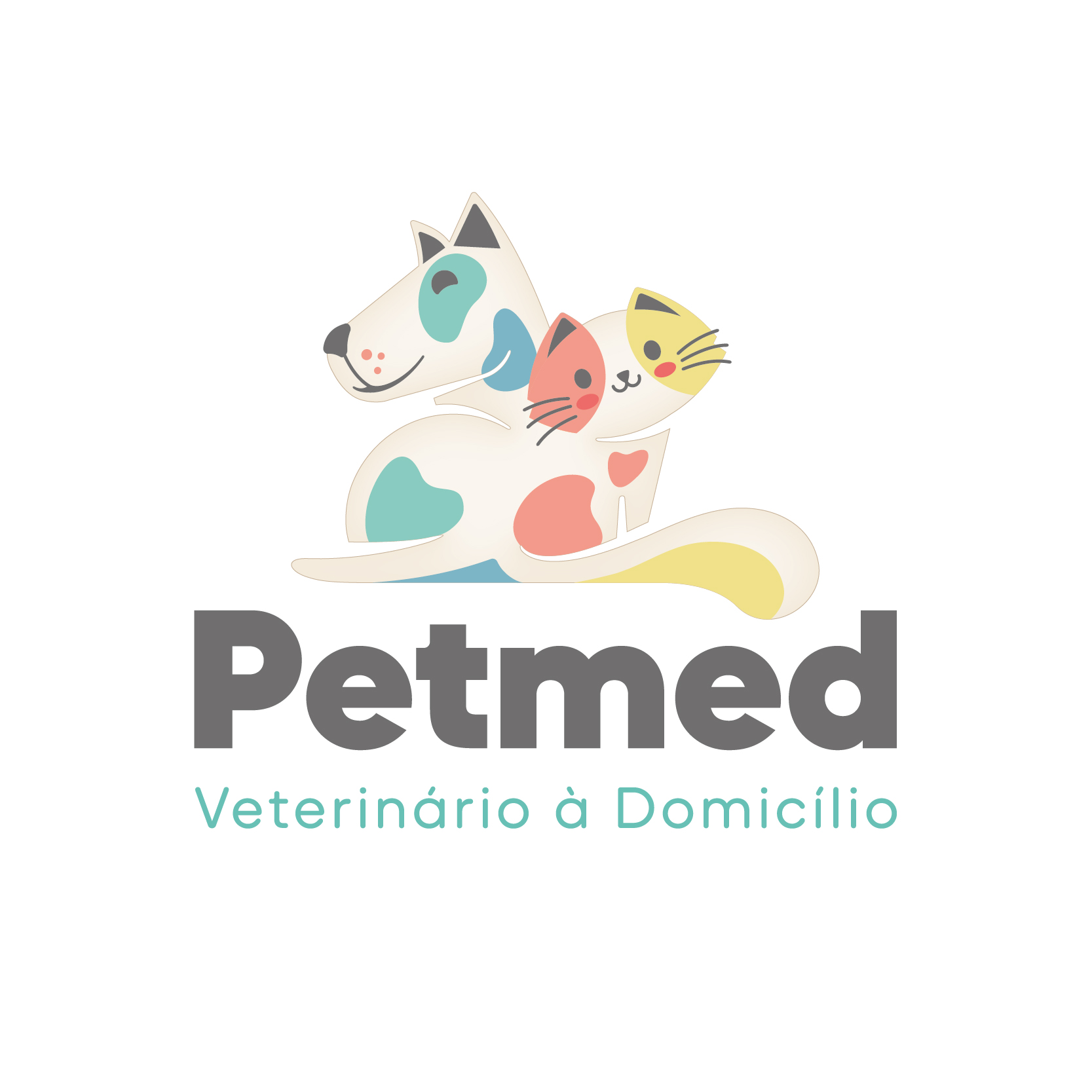 Petmed Atendimento Veterinário à Domicílio